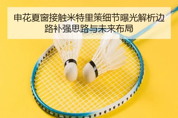 申花夏窗接触米特里策细节曝光解析边路补强思路与未来布局